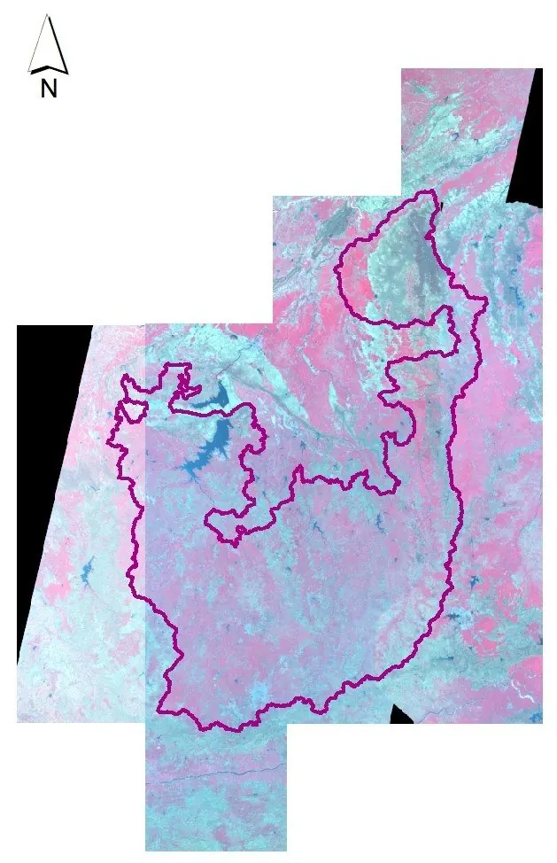 Satellite imagery being stacked and mosaicked with study area boundary overlaid